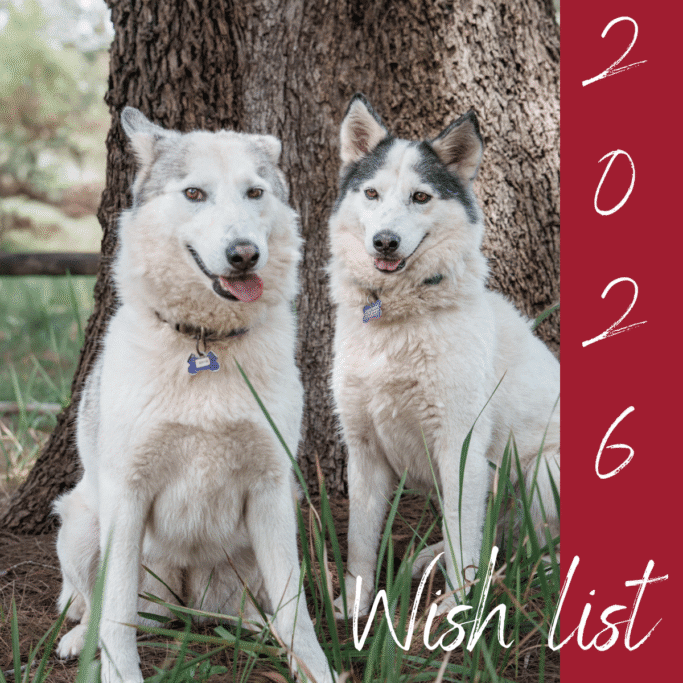 Wishlist 2026