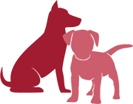 icon bonded dog pairs