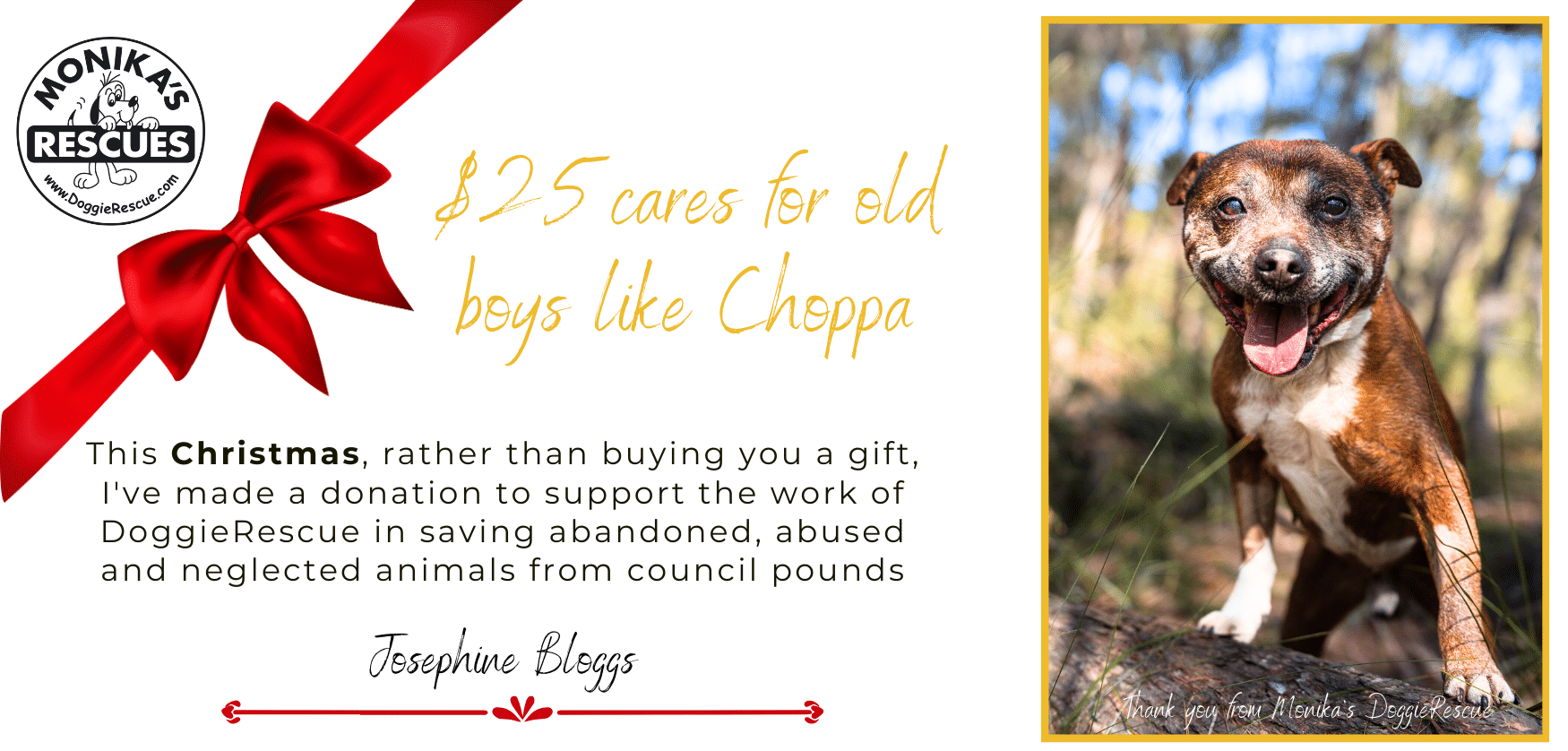Christmas $25 dog