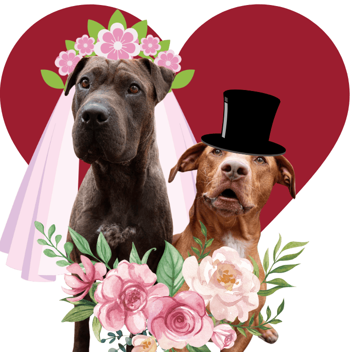 Wedding registry page graphic