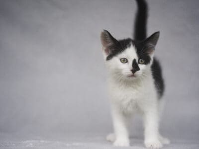 casper3(2)