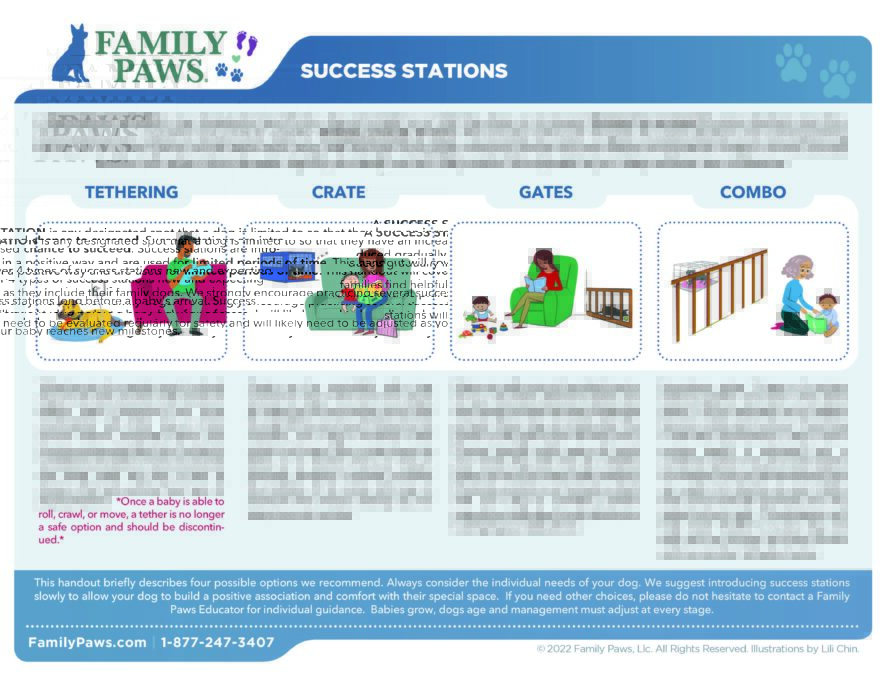 07-Success-Stationss-Version-03-2