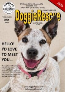 DR Mag July 2026