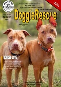 DR Mag August 2026