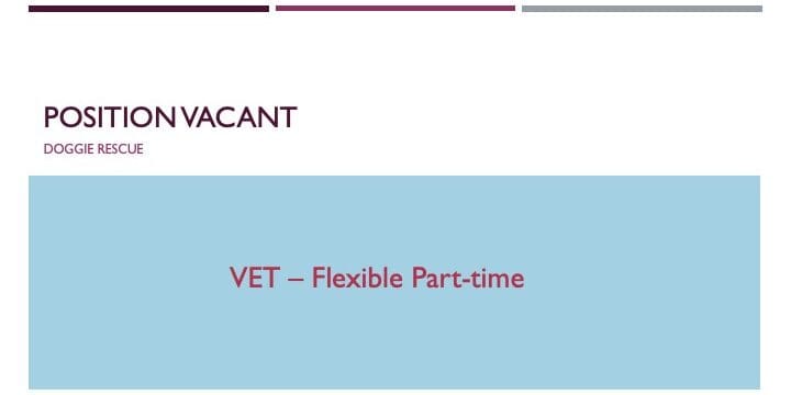 DR Job - Vet