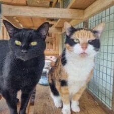 Libby and Sabrina