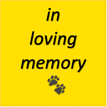 In Loving Memory