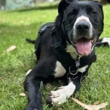 marley9mths3