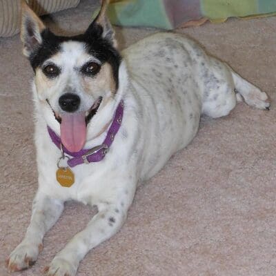 memorial-nellie
