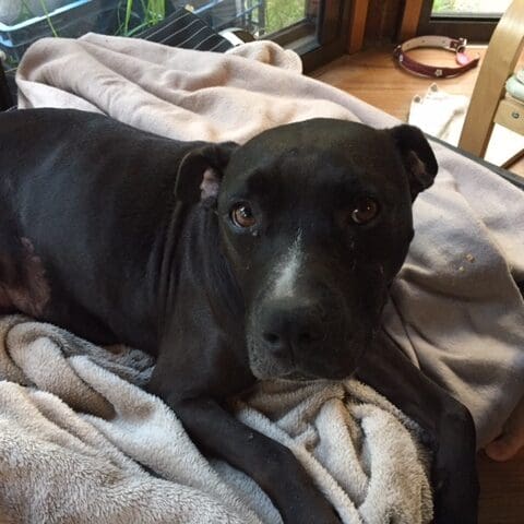 memorial-roxy